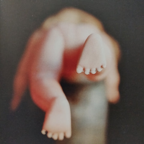 I'm A Real Photographer