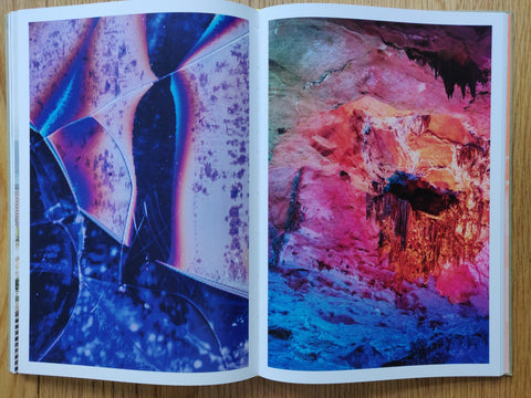 The Canary And The Hammer