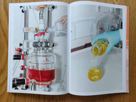 The Canary And The Hammer