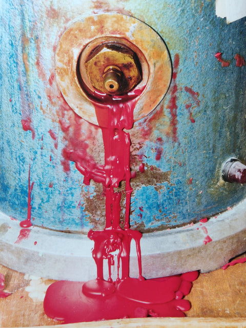 The Canary And The Hammer