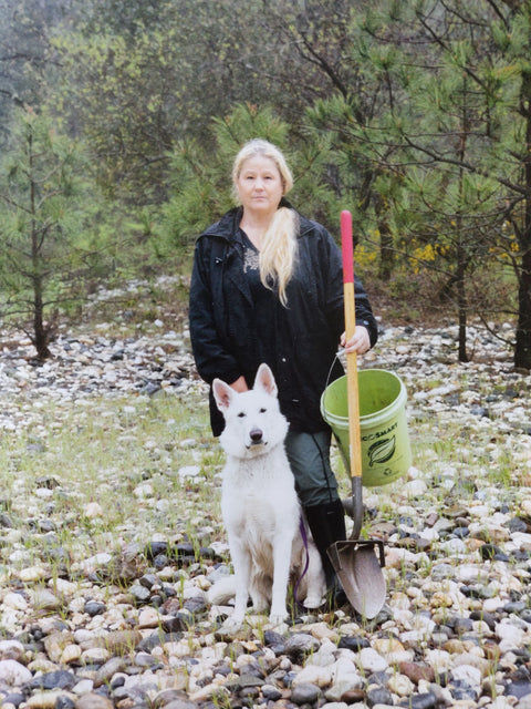 The Canary And The Hammer