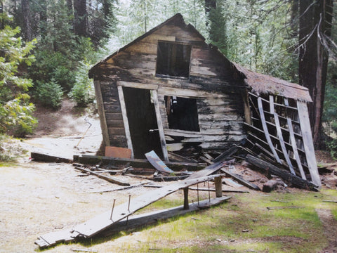 The Canary And The Hammer