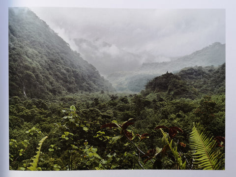 Guy Tillim: Second Nature