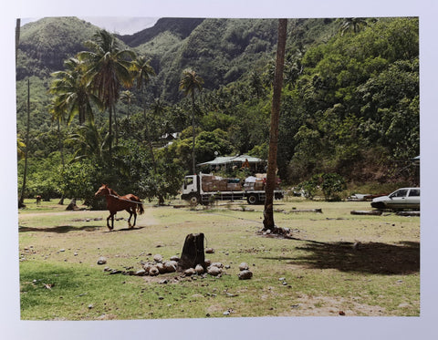 Guy Tillim: Second Nature
