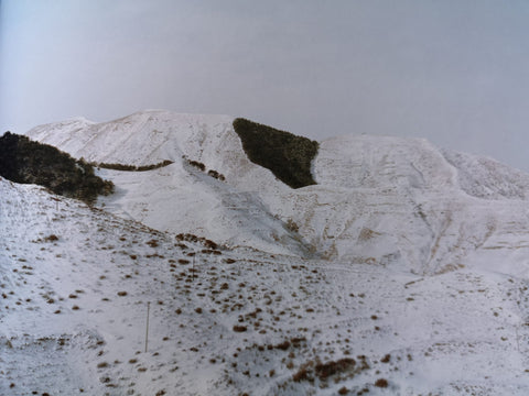 The Landscape