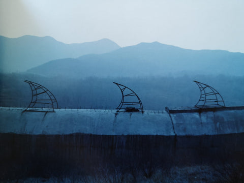 The Landscape