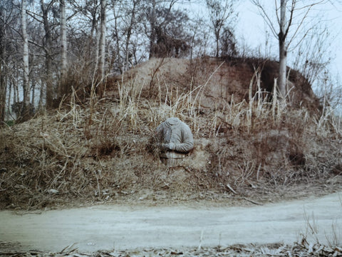 The Landscape