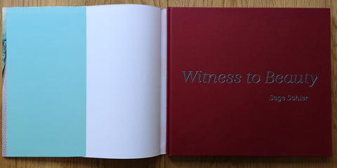 Witness to Beauty