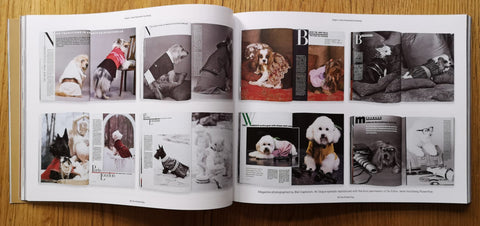 The Printed Dog 2