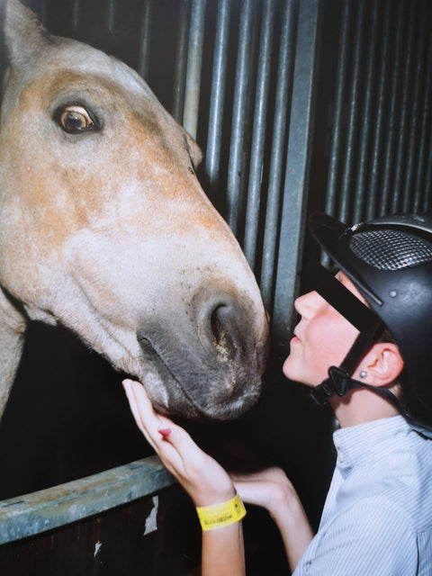 Pony Congo