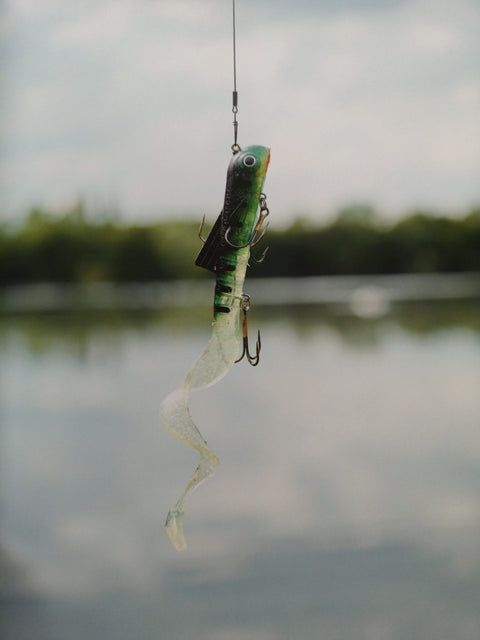 The Angler Who Fell to Earth