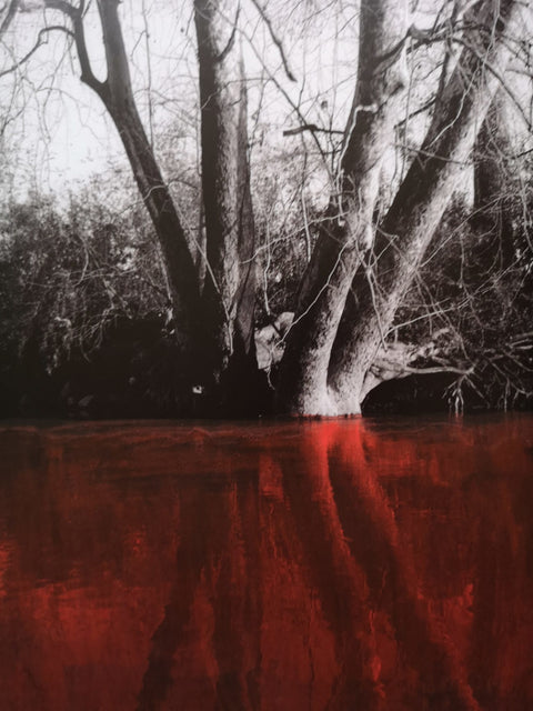 Disorder: Prix Pictet
