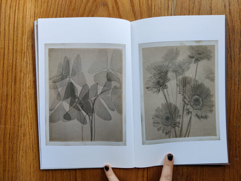 Flowers (L’IMPERIALE Collection 05)