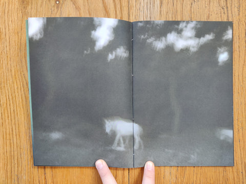 Traces Within