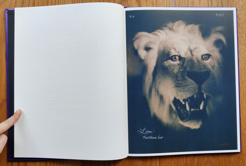 Pictorial Zoology