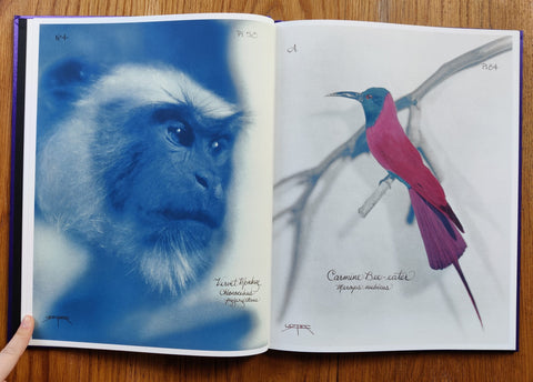 Pictorial Zoology