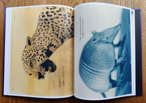 Pictorial Zoology