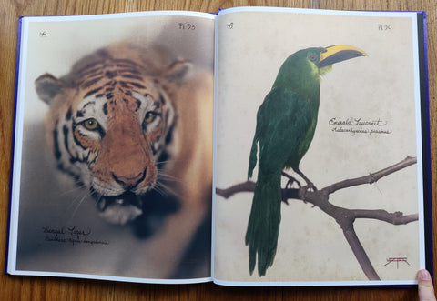 Pictorial Zoology