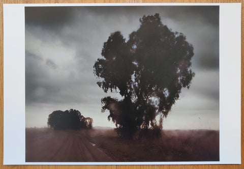 Bright Black World (Deluxe Limited Edition Suite with 15 Archival Pigment Prints)