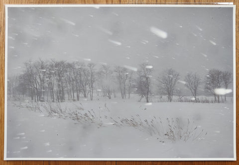 Bright Black World (Deluxe Limited Edition Suite with 15 Archival Pigment Prints)