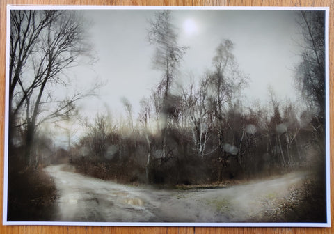 Bright Black World (Deluxe Limited Edition Suite with 15 Archival Pigment Prints)