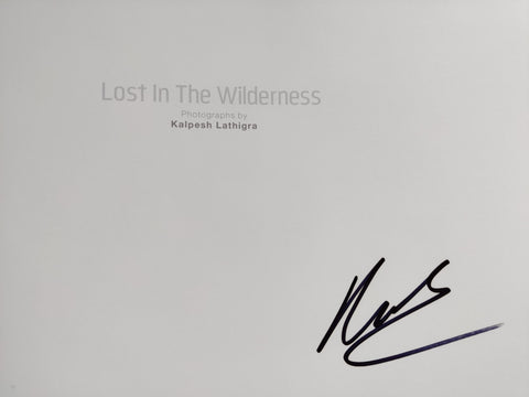 Lost in the Wilderness