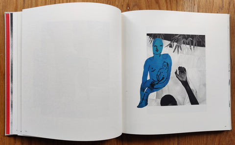 Photographs (Annotated Artists Edition)