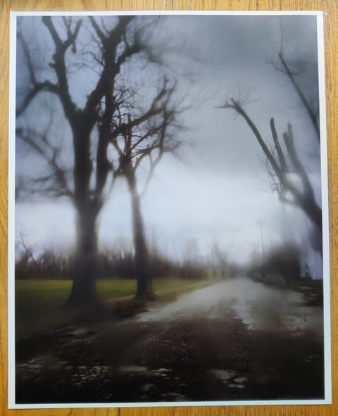 Excerpts from Silver Meadows (Deluxe Limited Edition Suite with 15 Type-C Prints)