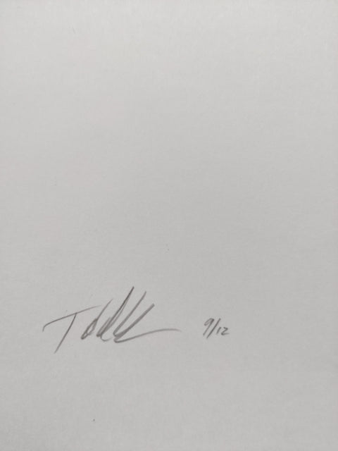 Excerpts from Silver Meadows (Deluxe Limited Edition Suite with 15 Type-C Prints)