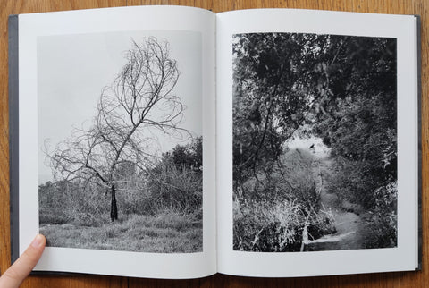 Arboreal