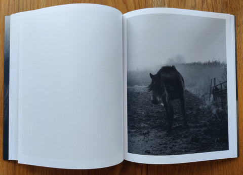 This Land - Setanta Books