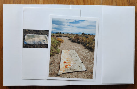 Littoral Drift + Ecotone