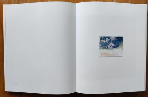 Littoral Drift + Ecotone