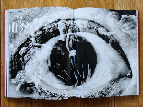 Eikoh Hosoe (English edition)