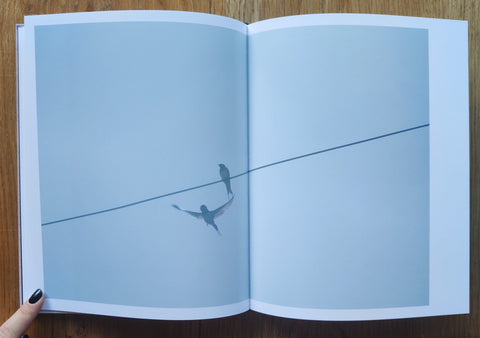 Des Oiseaux