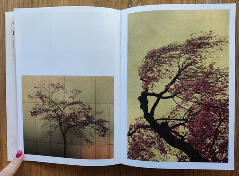 Photographic Syntax