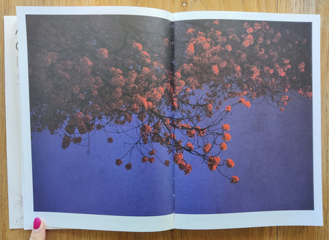 Photographic Syntax