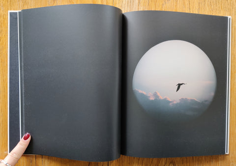 Des Oiseaux