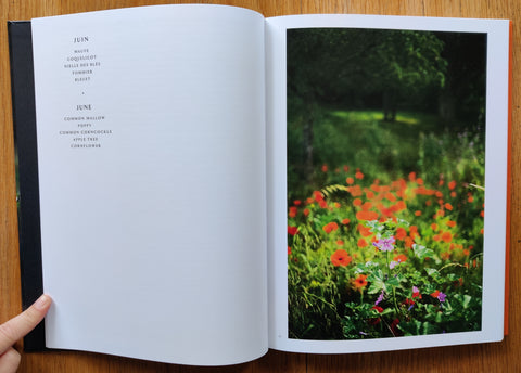Giverny: A Year In The Garden