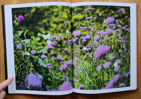 Giverny: A Year In The Garden