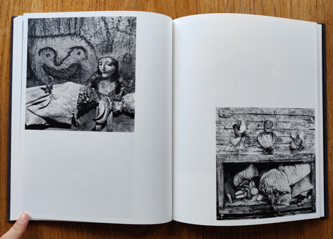 Des Oiseaux