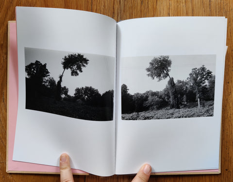 Bent Tree (One Picture Book)