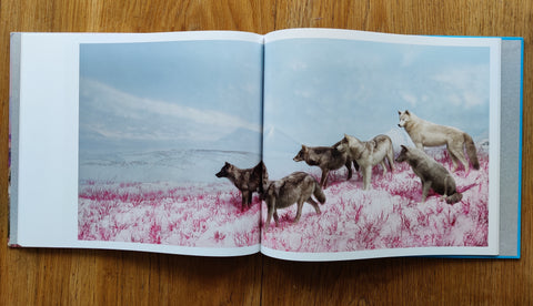 Eremozoic (Book With Print)