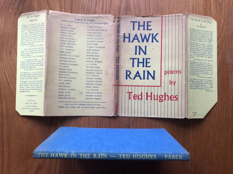 Hawk in the Rain