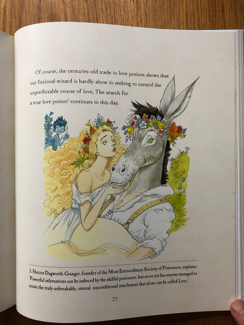 The Tales of Beedle the Bard - Illustrated Edition