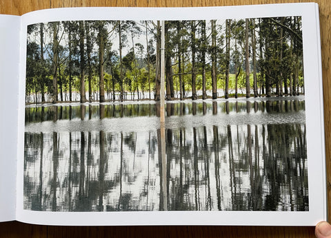 The Space between Memory and Expectation