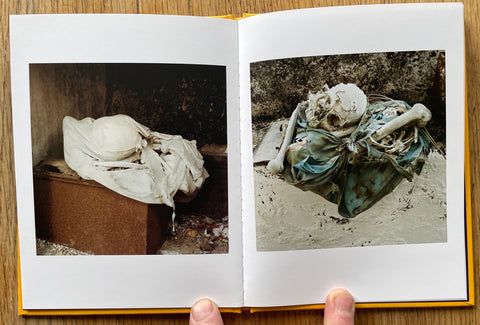 En Vista (One Picture Book)