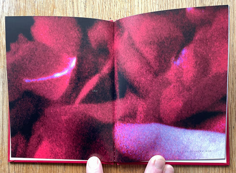 True (One Picture Book)
