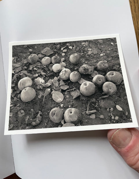 Fruitless (One Picture Book)