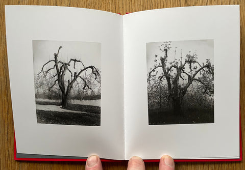 Fruitless (One Picture Book)